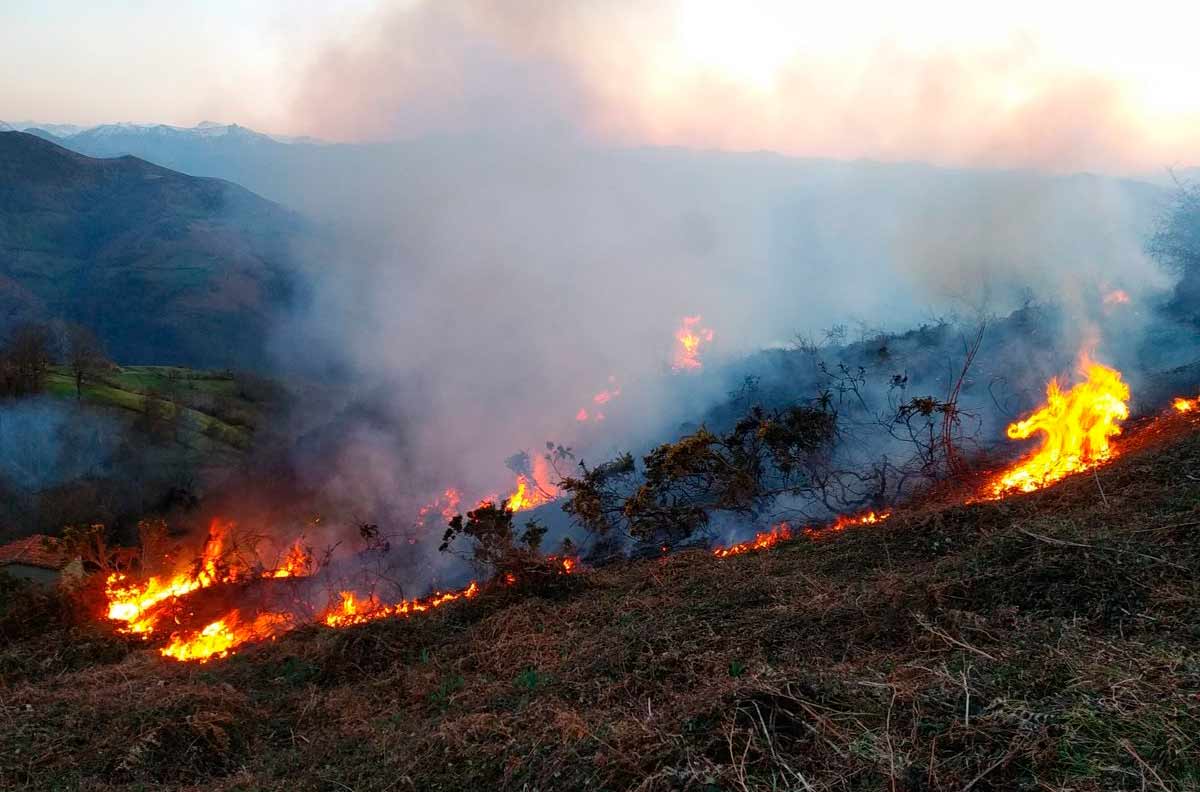 Época de Peligro Alto de Incendios – Excmo. Ayuntamiento de Montehermoso