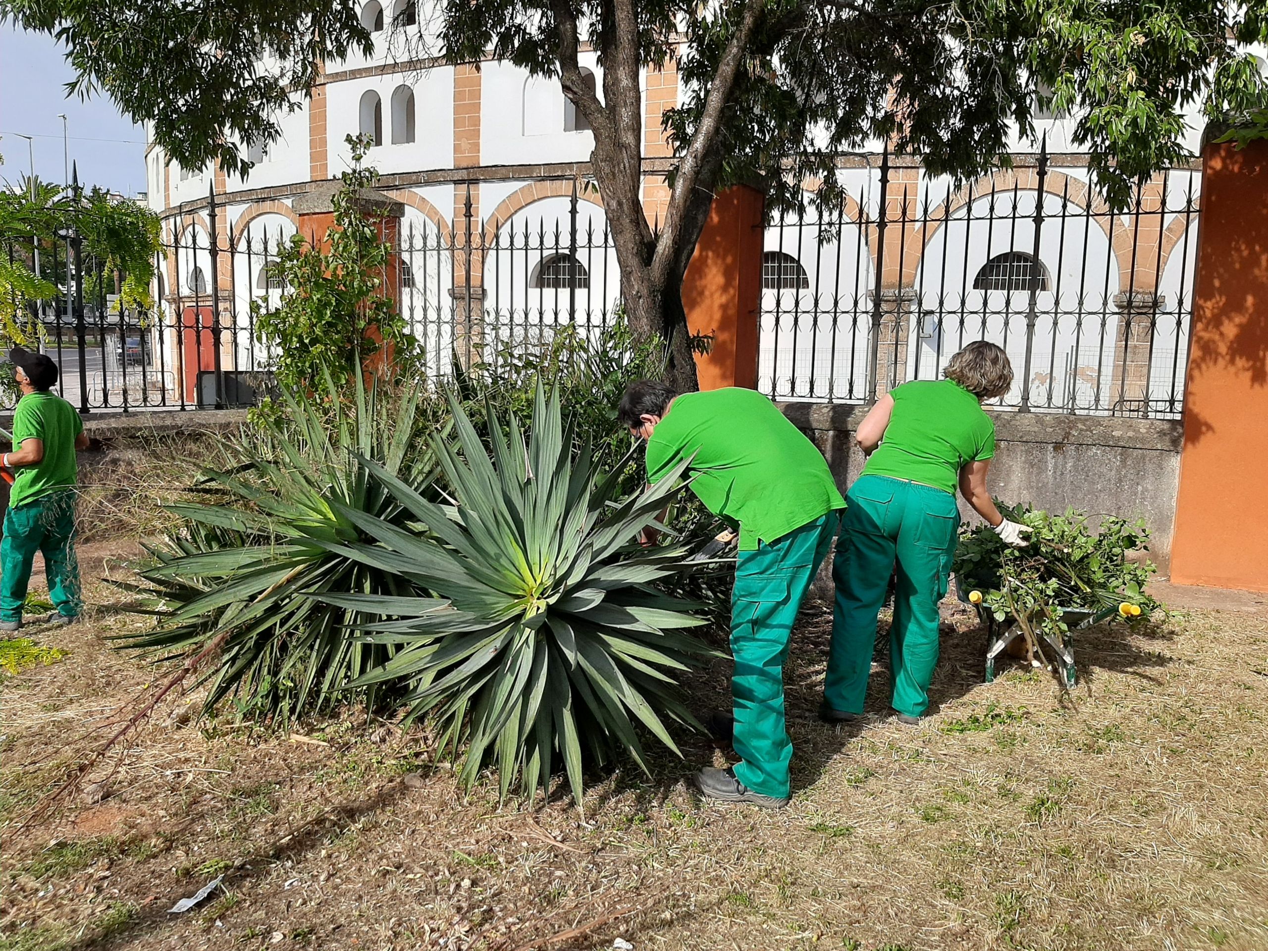 La Universidad Popular finaliza un Curso de Instalación y Mantenimiento de Jardines y Zonas Verdes