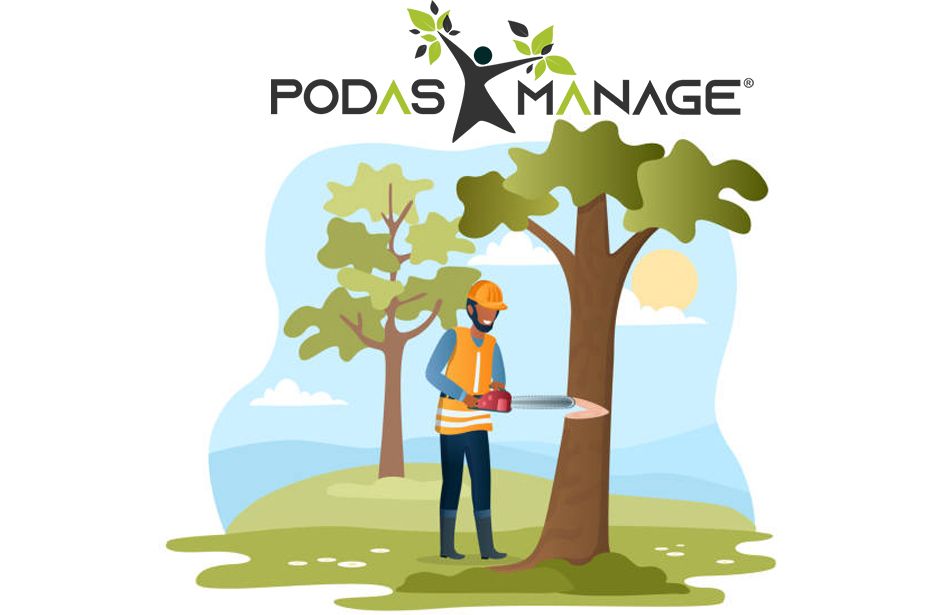 Ventajas y razones de la poda de árboles, por PODAS MANAGE