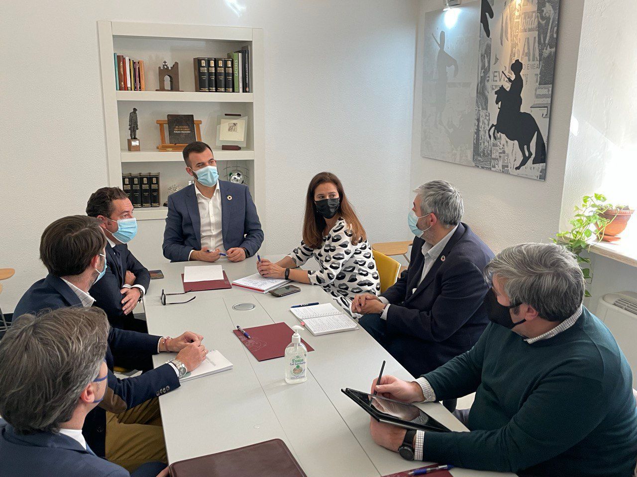Ingenostrum presenta en el Ayuntamiento los avances del proyecto Cáceres Green