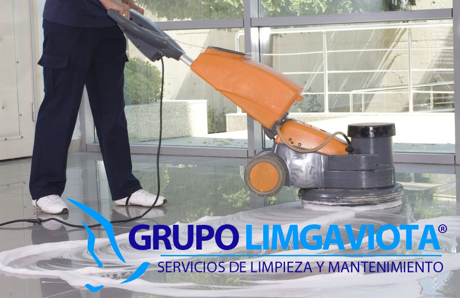 Ventajas de contratar una empresa de limpieza, por PULIGAVIOTA