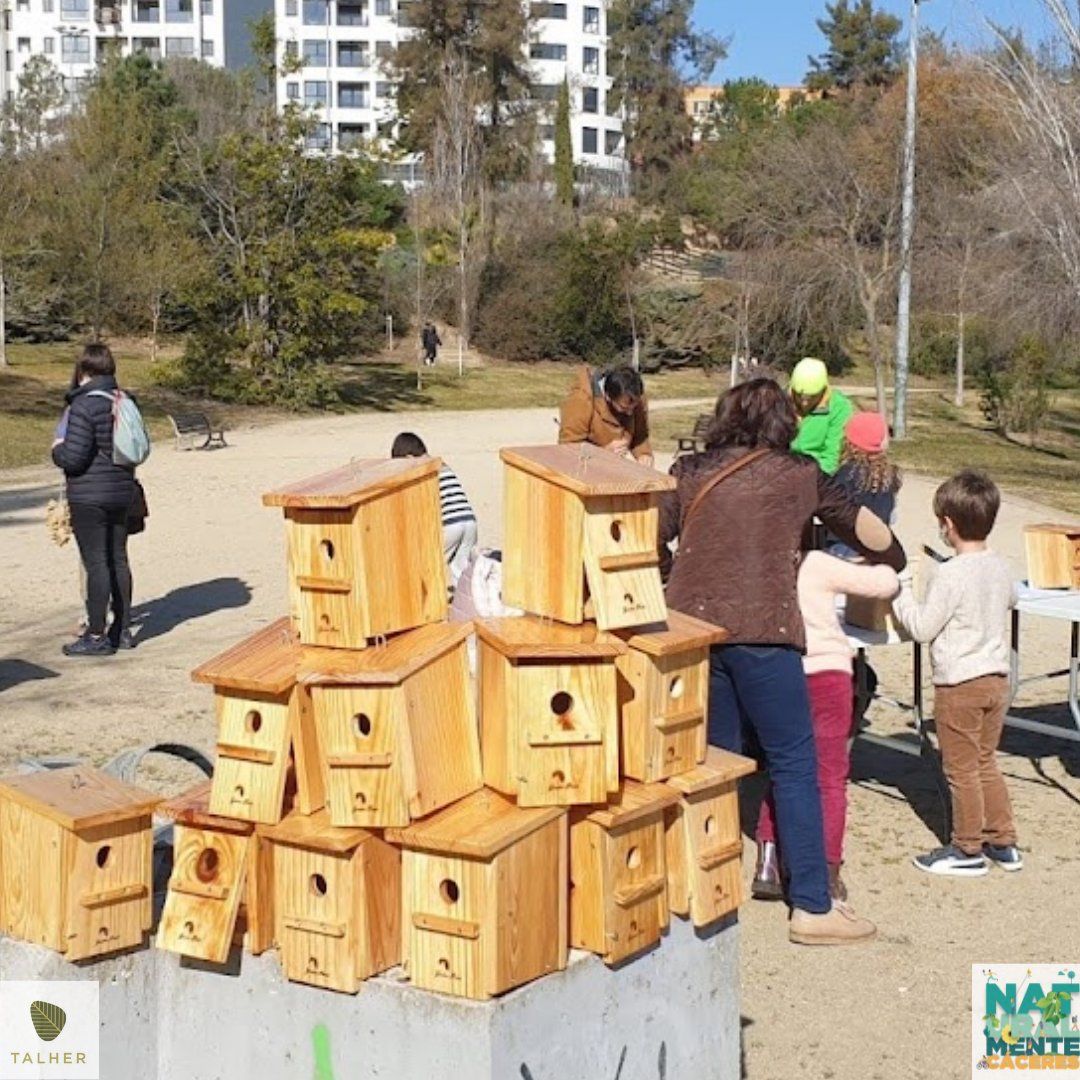 El Ayuntamiento planta una nueva especie de árbol en la ciudad