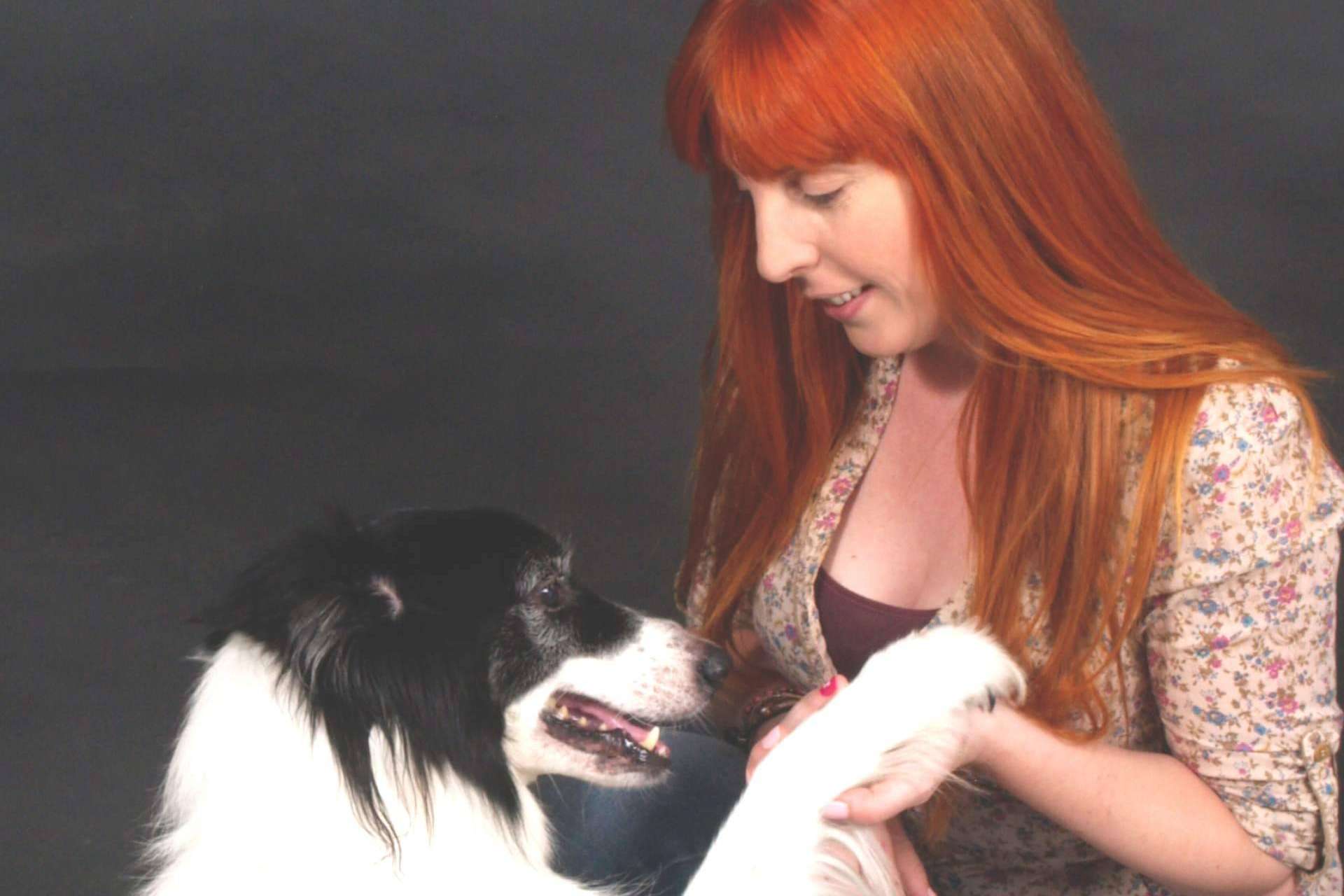 ¿En qué consiste la educación canina?