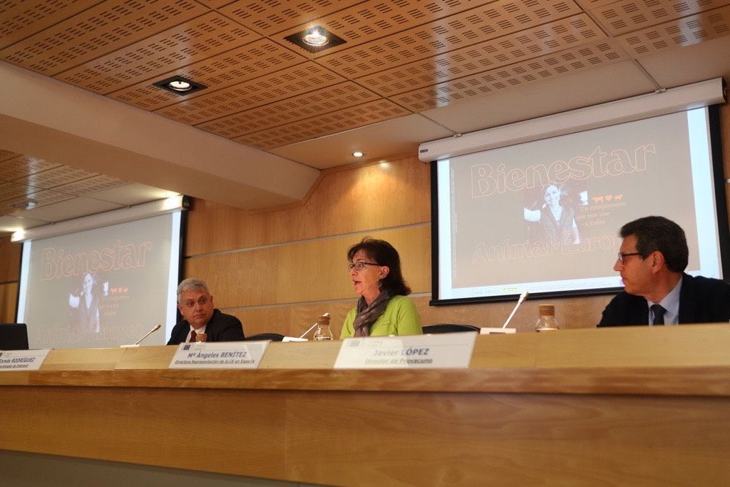 Interovic y Provacuno presentan primera campaña europea para impulsar el bienestar animal de los rumiantes