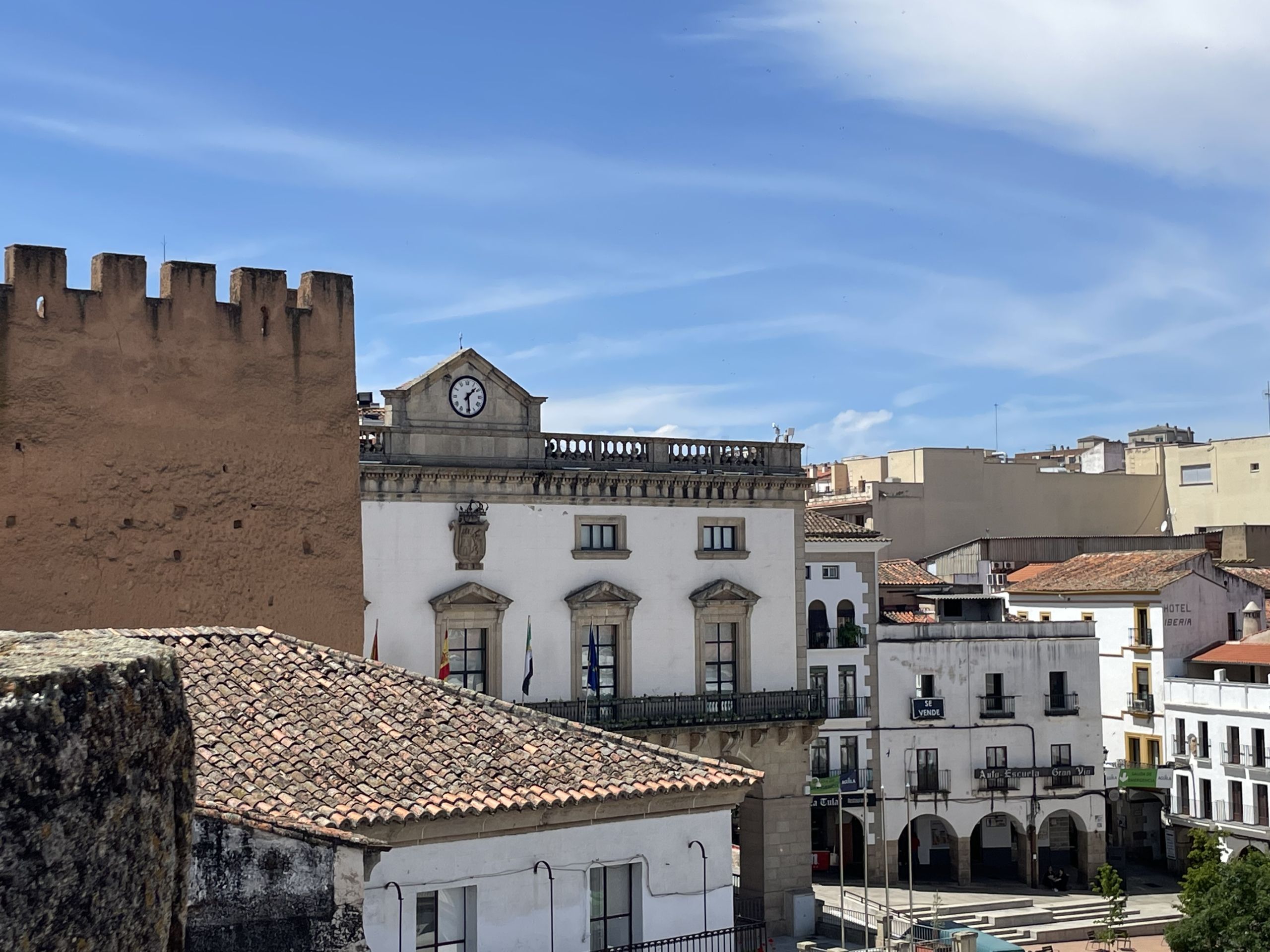 El Ayuntamiento saca a concurso el servicio de asistencia técnica para la elaboración y difusión del Plan de Acción Local