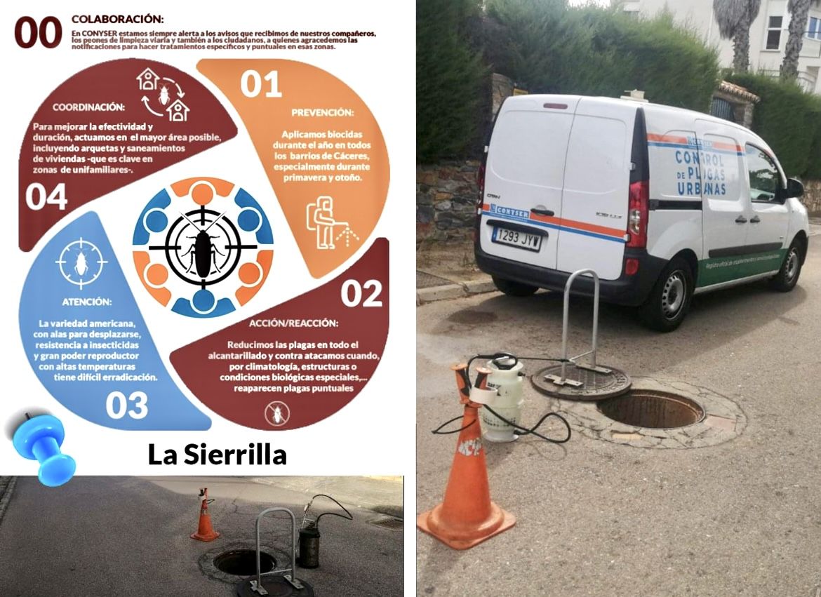Campaña intensiva para tratar y prevenir plagas