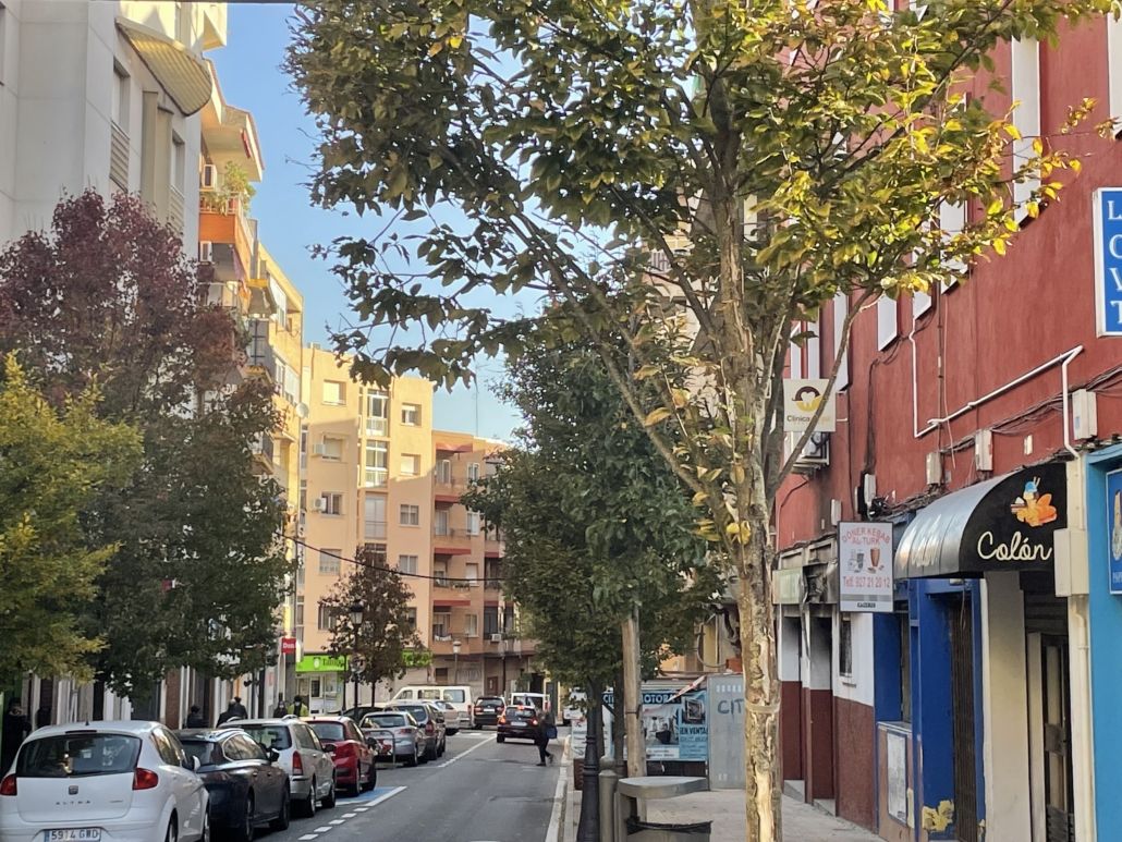 La calle Hernández Pacheco permanecerá cortada al tráfico los próximos jueves y viernes