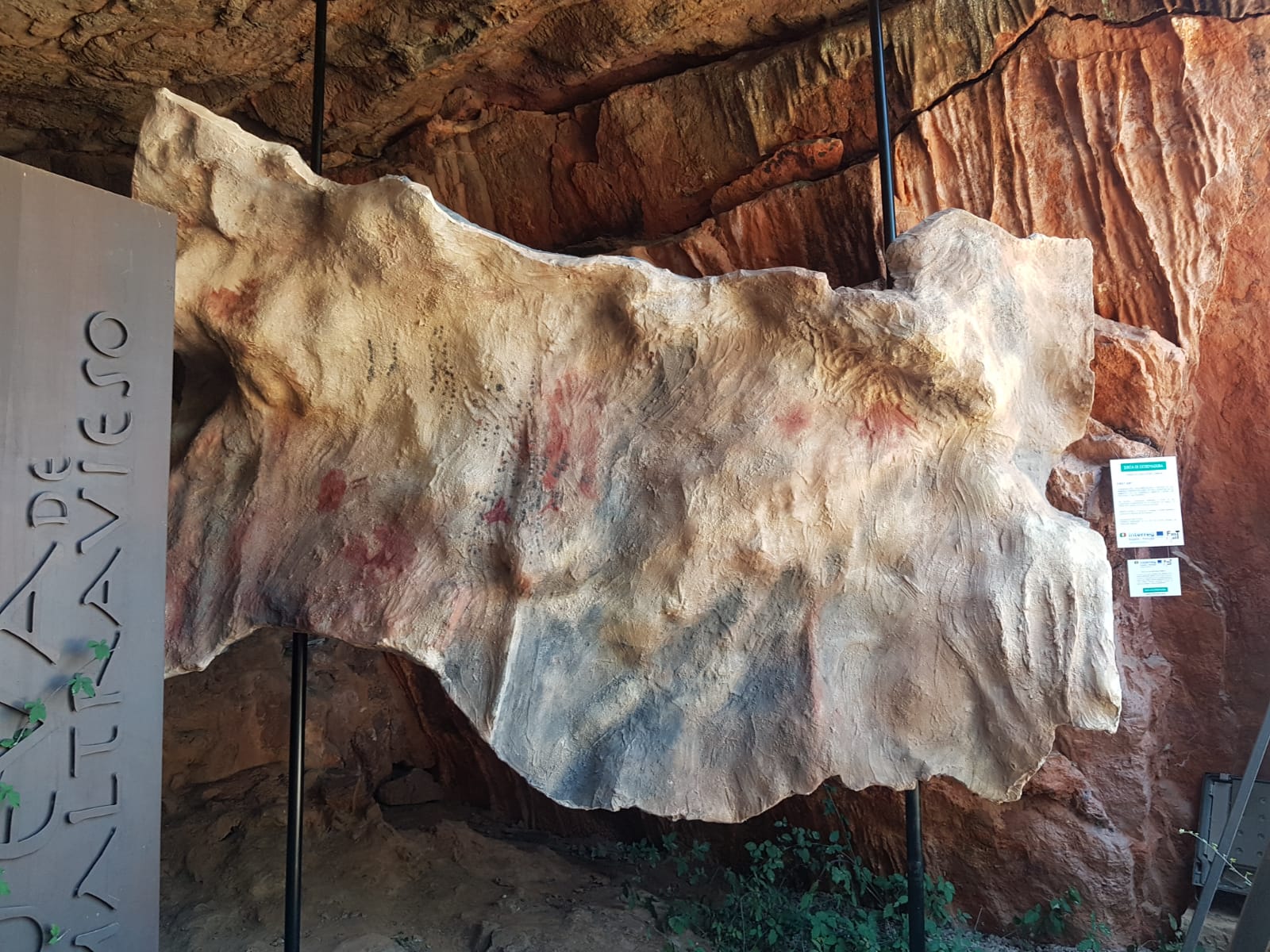 Réplicas de algunos fragmentos de lienzos y paneles de la Cueva de Maltravieso, expuestos en diferentes edificios de la ciudad