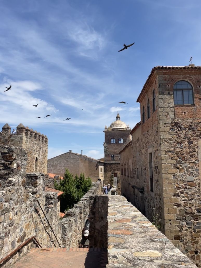 Abierto el plazo para participar en el concurso de Guiones Gráficos Patrimonito, iniciativa del Centro del Patrimonio Mundial de la UNESCO