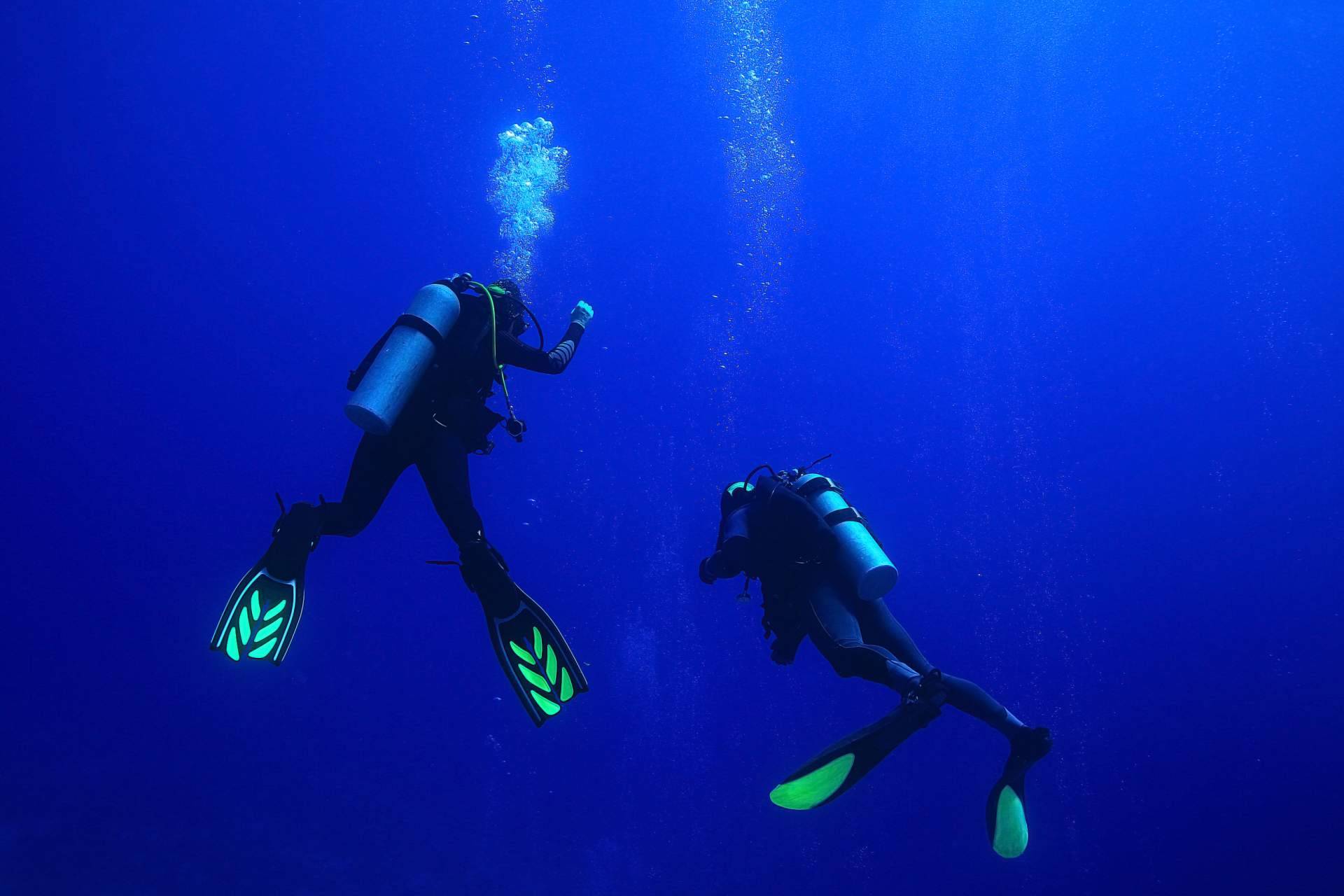 ¿Cuáles son los mejores cursos de buceo en España?, por Diveasapp