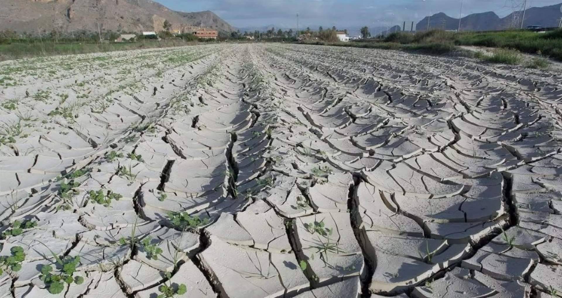¿Por qué se producen conflictos por la falta de agua?