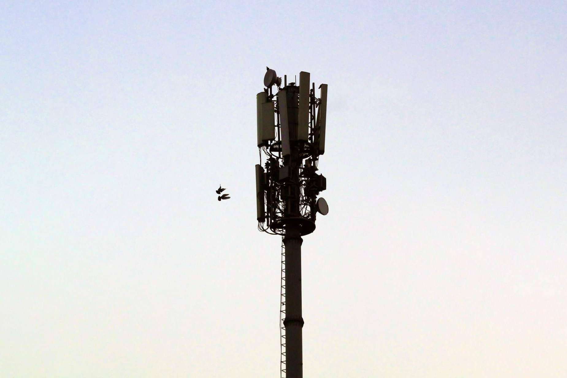 Iquall Networks y el despliegue de 5G en Colombia