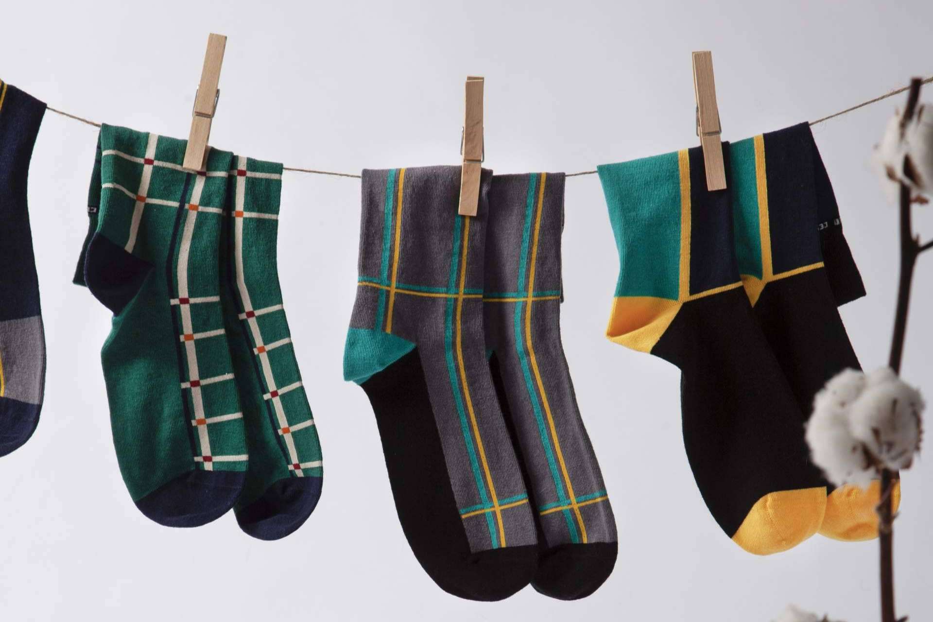 Algodón cosechado en España. La apuesta de la firma Socks Market para revolucionar la moda sostenible