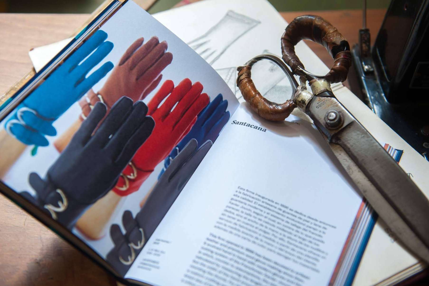 ¿De dónde son los guantes que llevan las famosas en las revistas de moda?