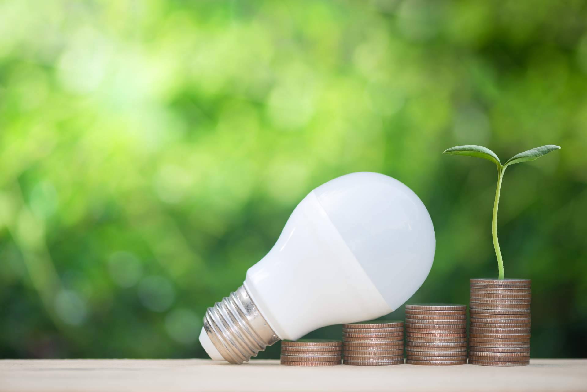 El Día Mundial del Ahorro de Energía y la relevancia de las energías renovables