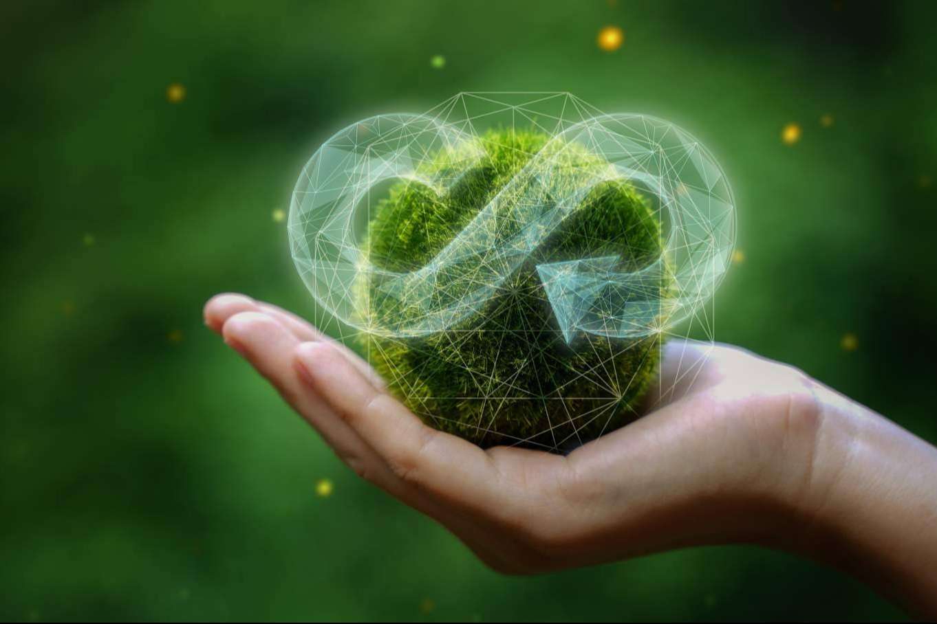 MID Car presenta un amplio catálogo de vehículos de segunda mano y sostenibilidad ambiental