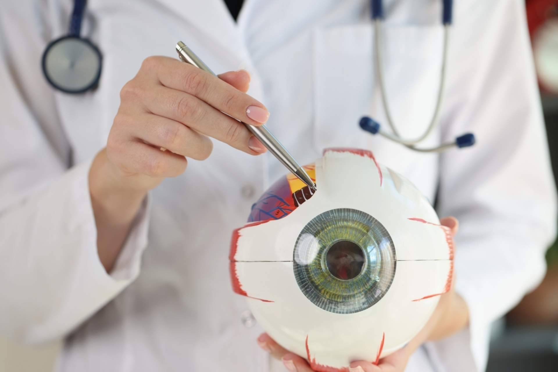 El Departamento de Oftalmología del Hospital Universitario Dexeus trata el problema de moscas volantes