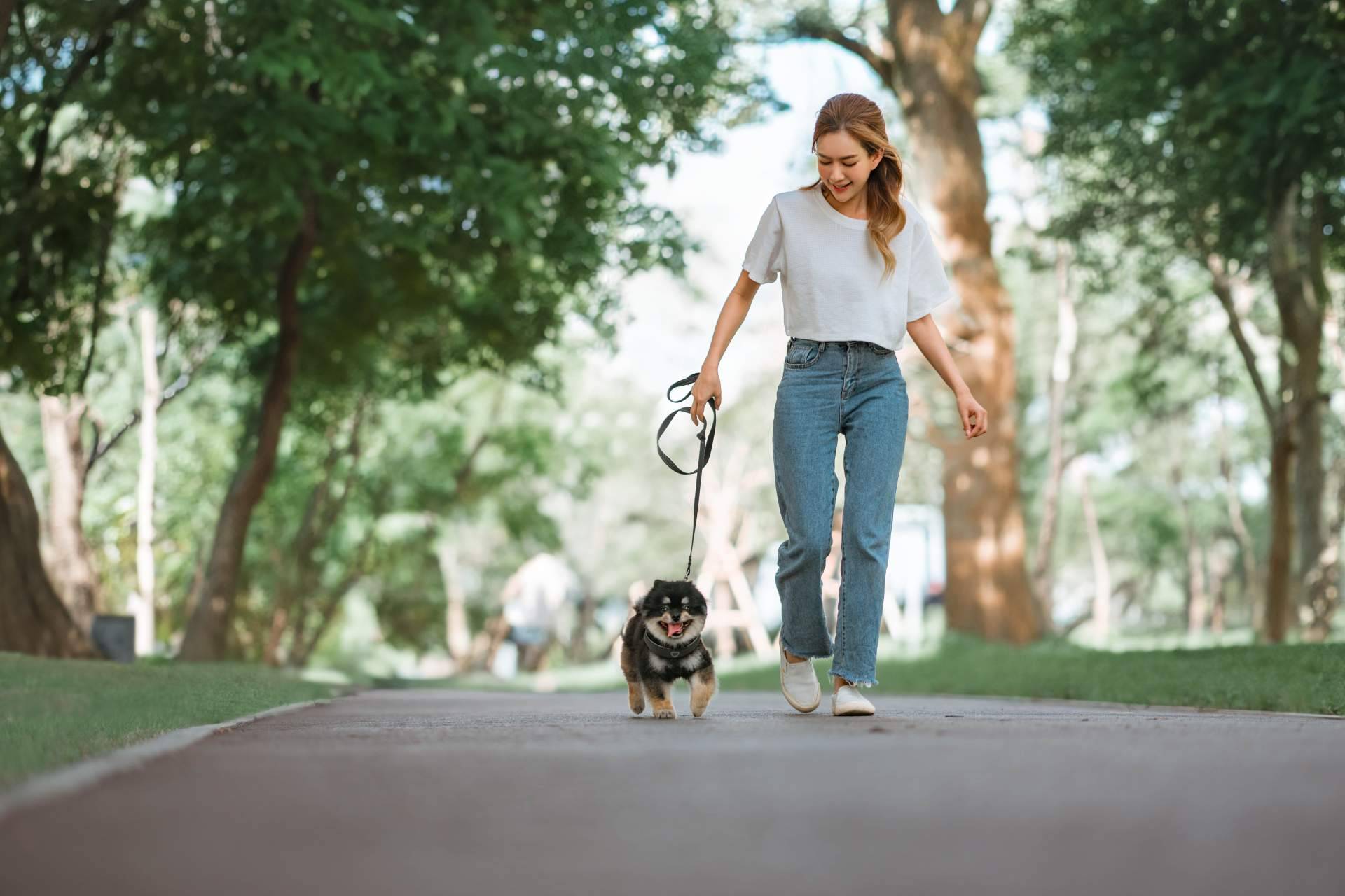 Equilibrio perfecto; Cómo conciliar vida personal y profesional emprendiendo con El Perro Feliz