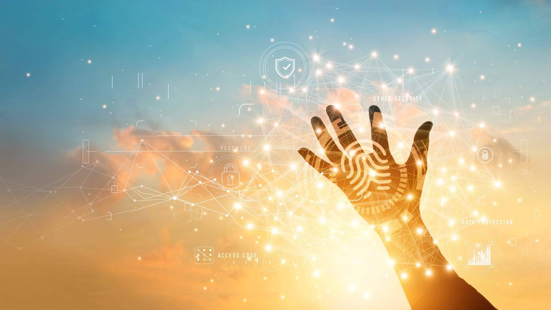 Fortaleciendo la protección digital con el informe de huella digital de Codaprot