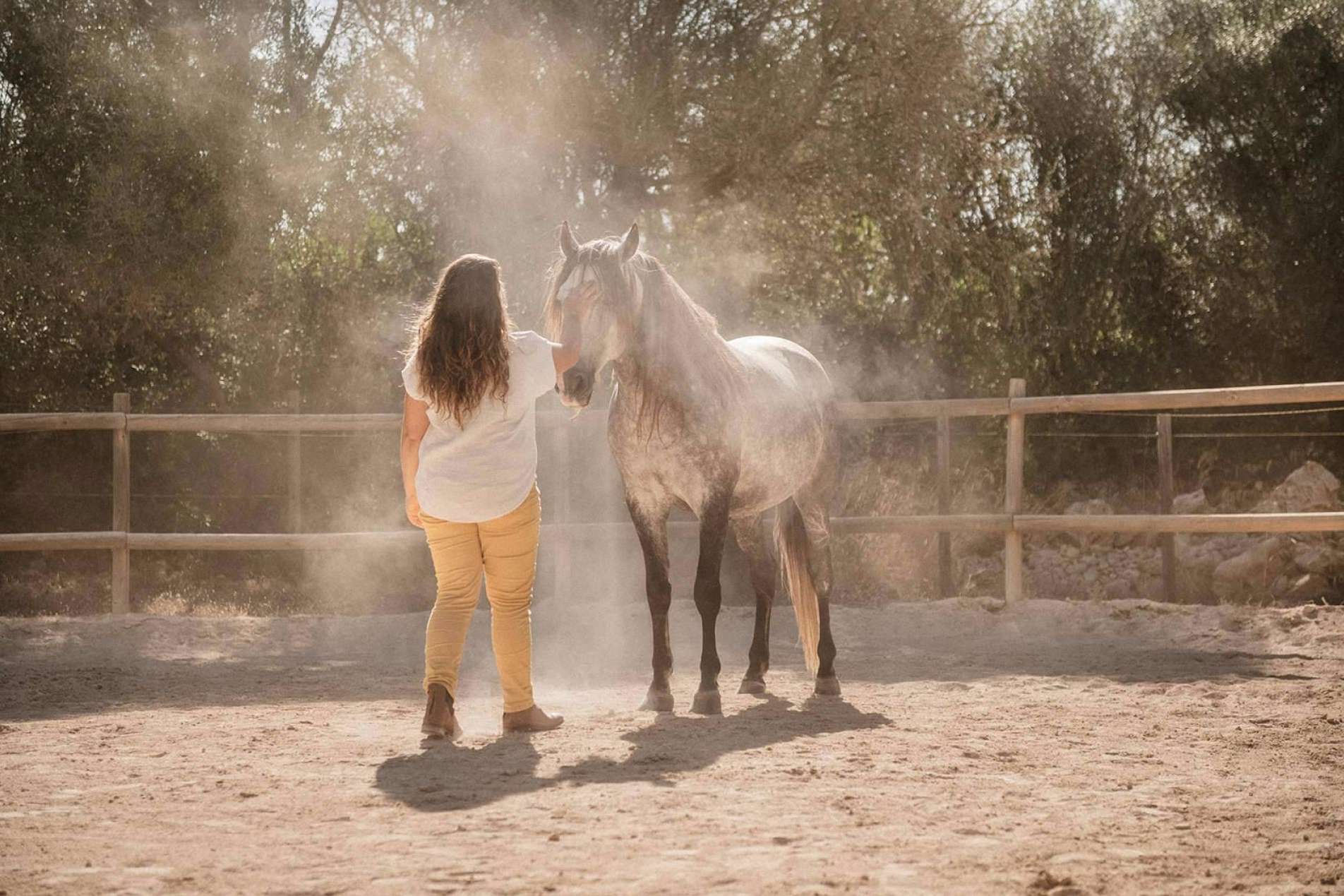 Coaching asistido por caballos para la reducción y gestión de estrés