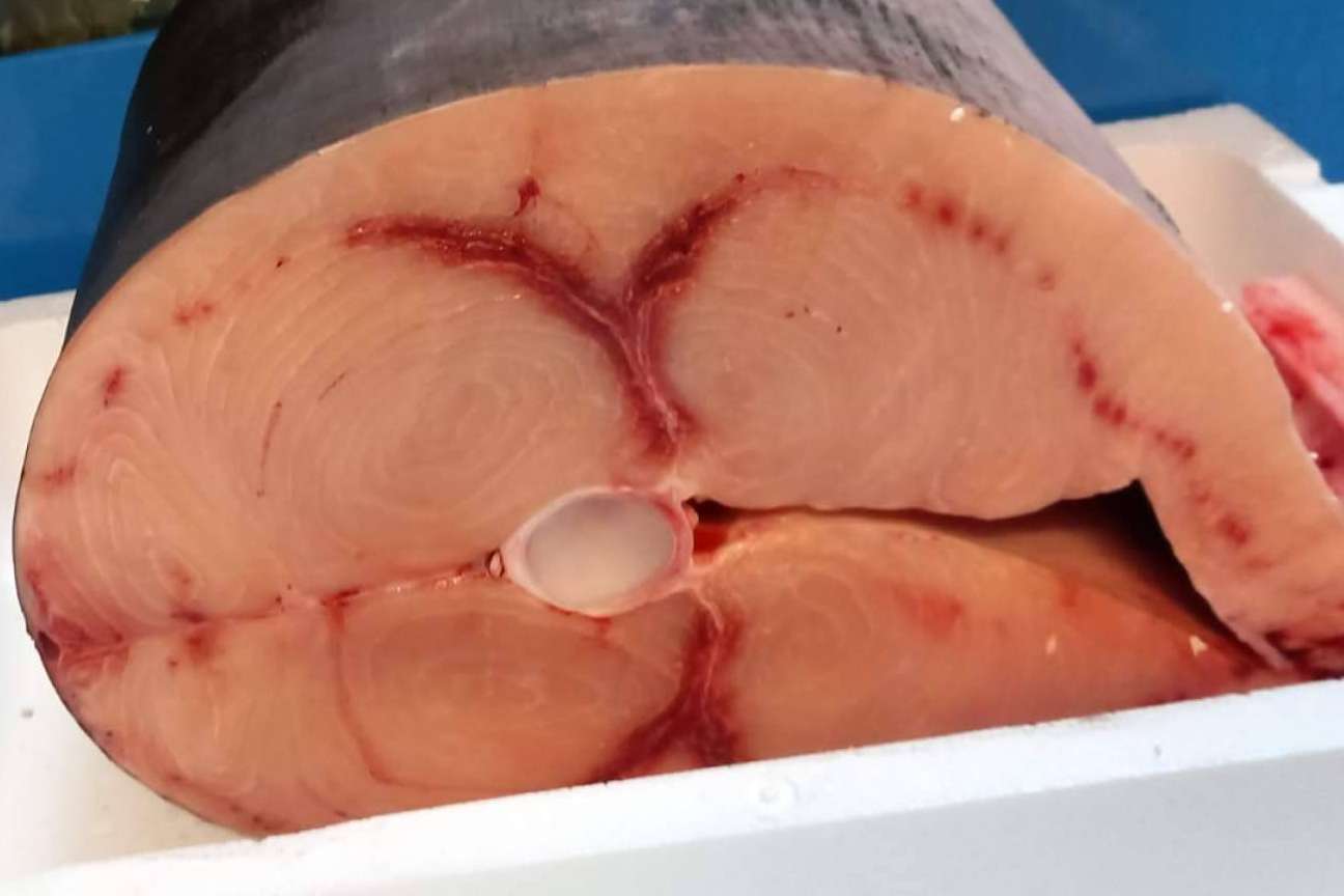 Pescadería Younes Ceuta, una tienda familiar que dispone de pez espada del estrecho