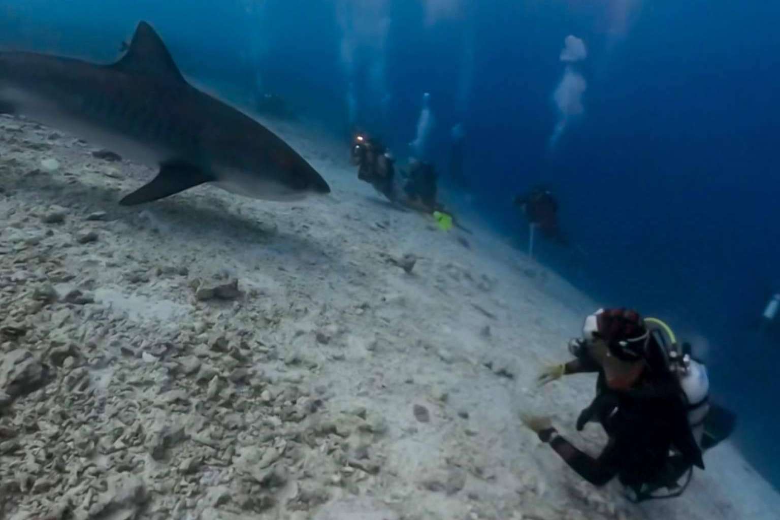 Buceo en Rasdhoo y Fuvahmulah, las mejores islas de Maldivas