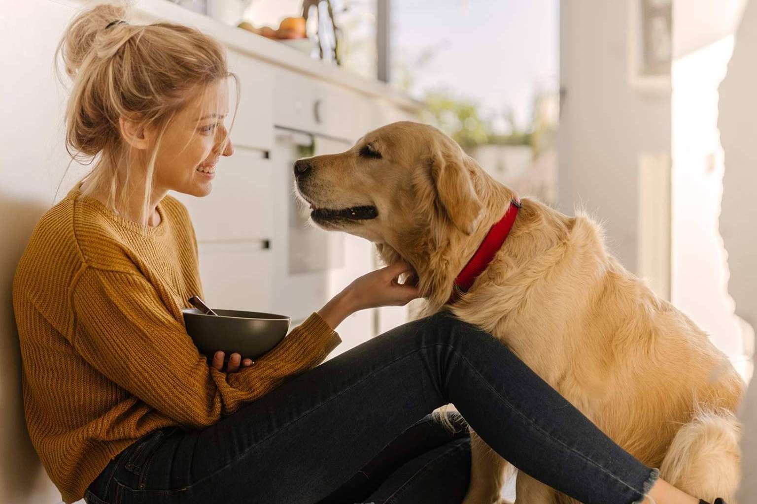Línea Directa facilita un seguro de mascotas competitivo e integral