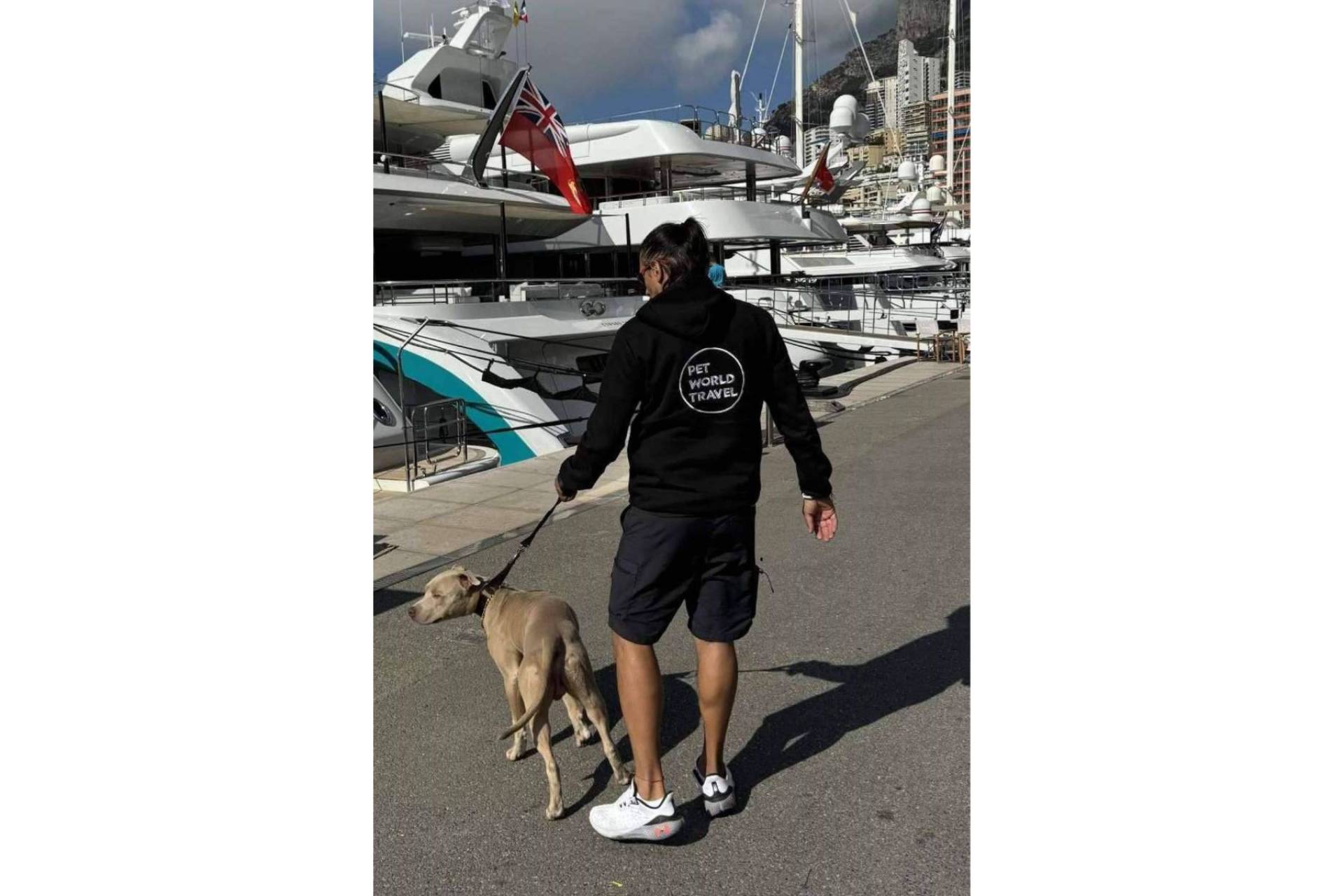La importancia de un buen servicio de traslado de mascotas de la mano de Pet World Travel