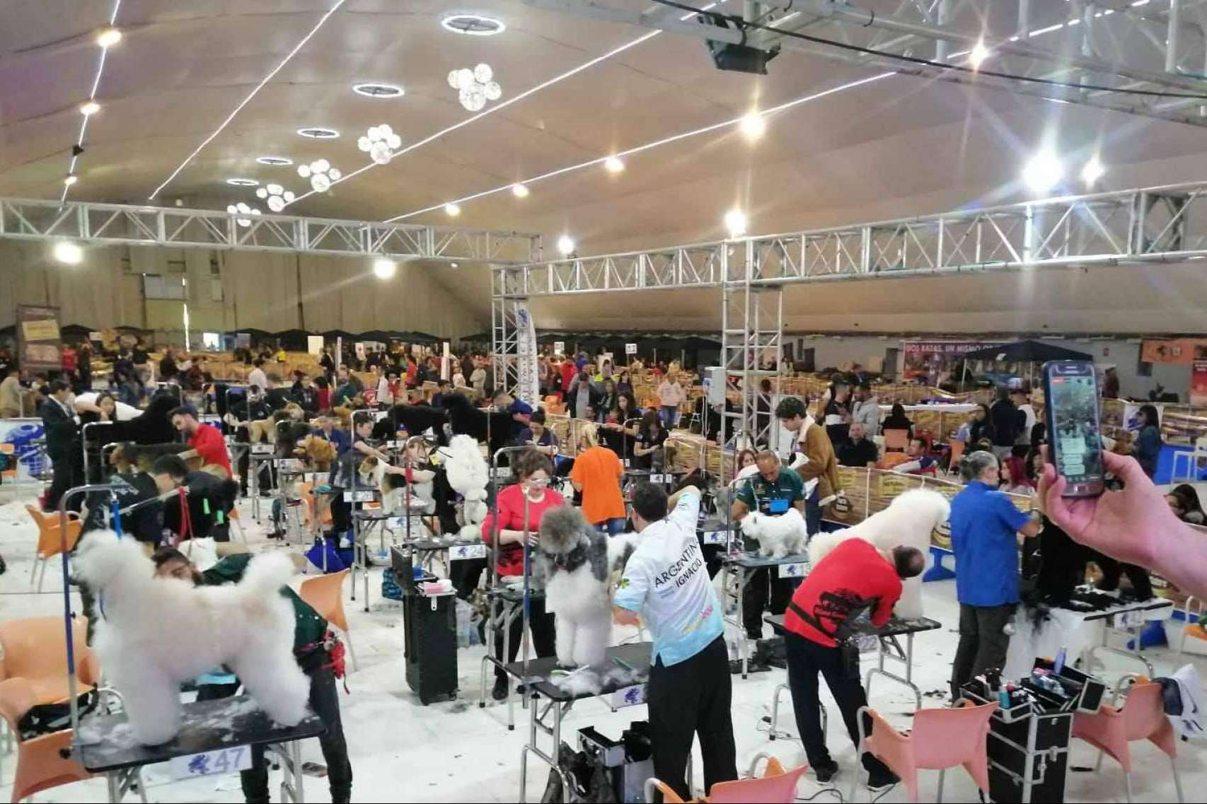 El Campeonato Europeo de Peluquería Canina 2024 se celebra en la Región de Murcia