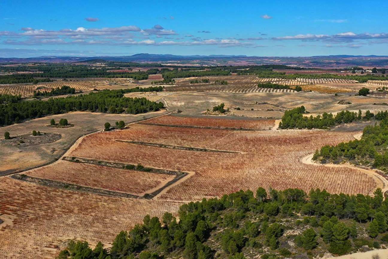 Pago de los Balagueses, la esencia de un vino de pago