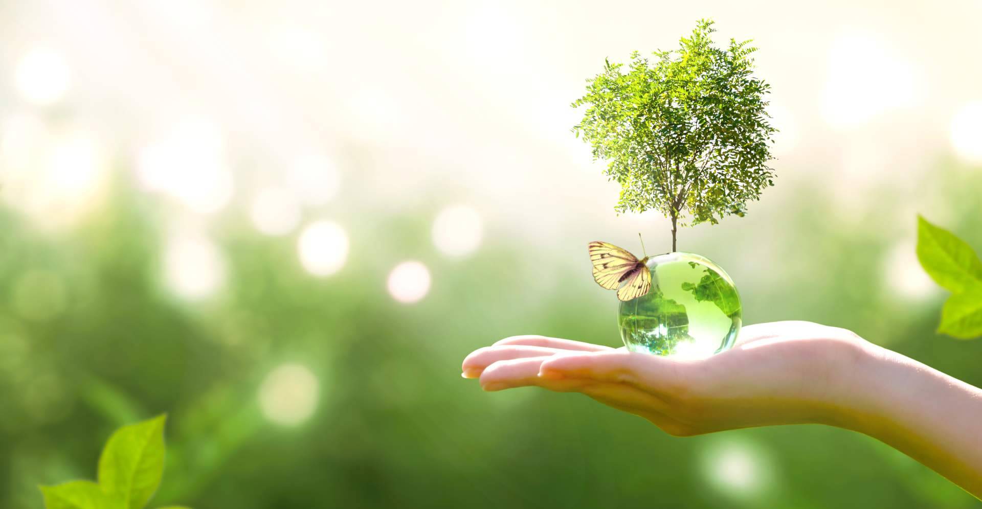 La apuesta de Multienergía Verde por la ecoeficiencia