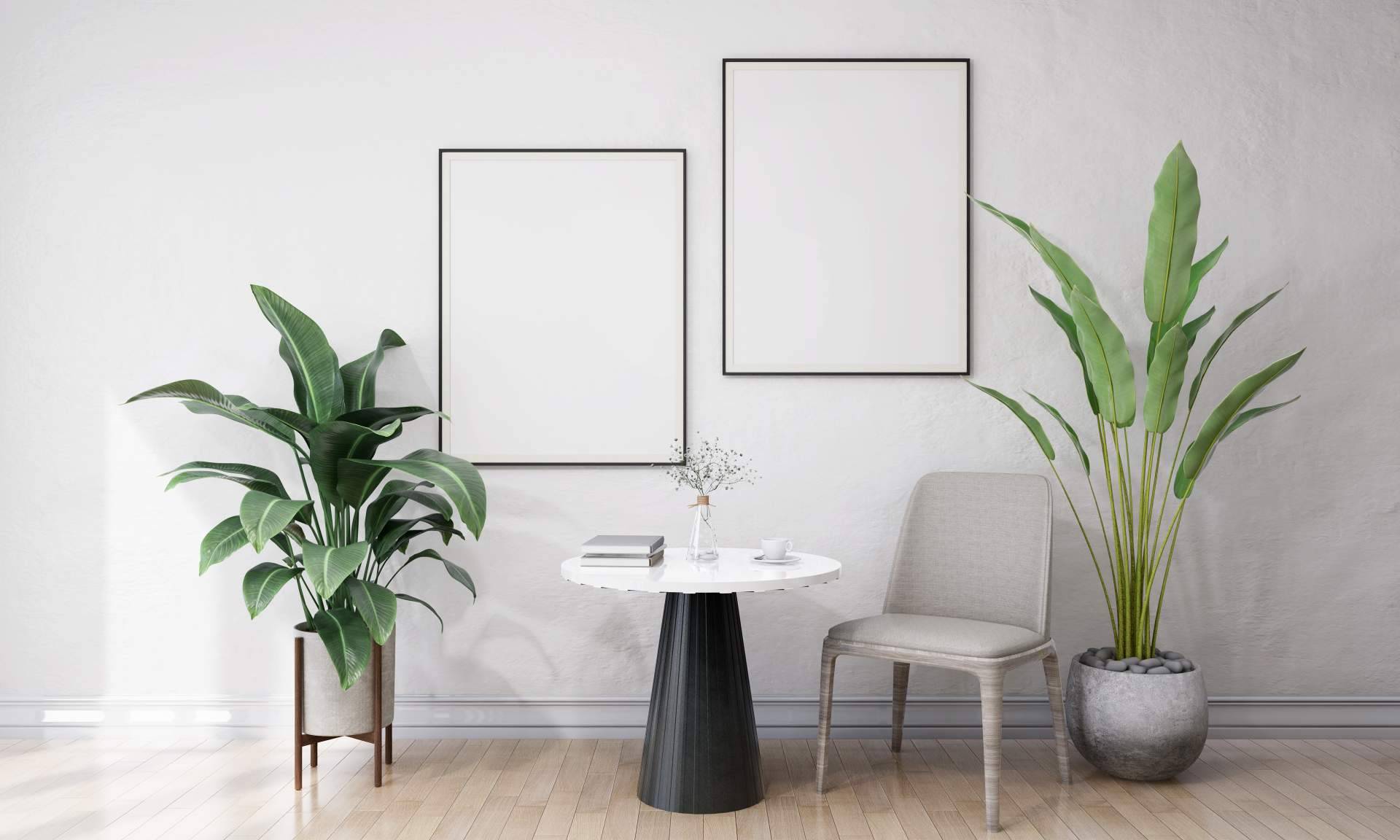 ApliService se especializa en trabajos con pintura decorativa para interiores