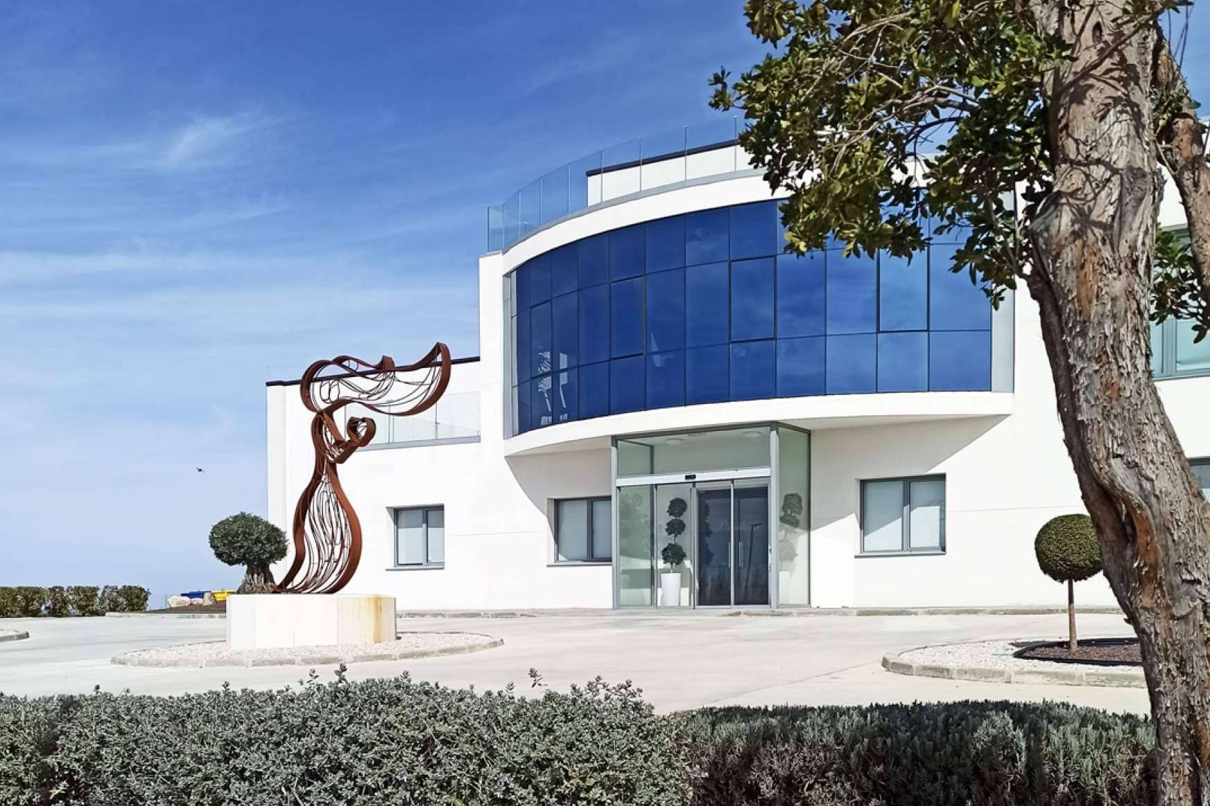 Bodegas Pandora fusiona tradición, pasión e innovación al servicio de la excelencia vinícola 