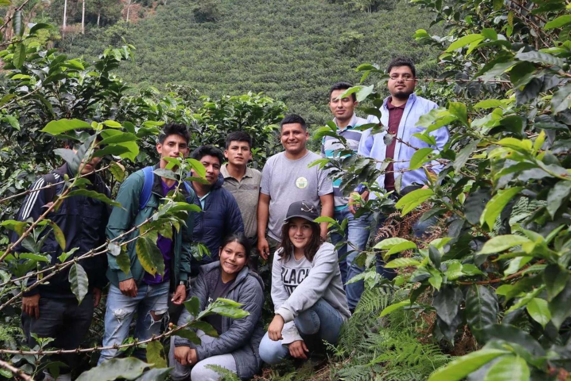 SIBARISTA, donde cada grano de café cuenta una historia