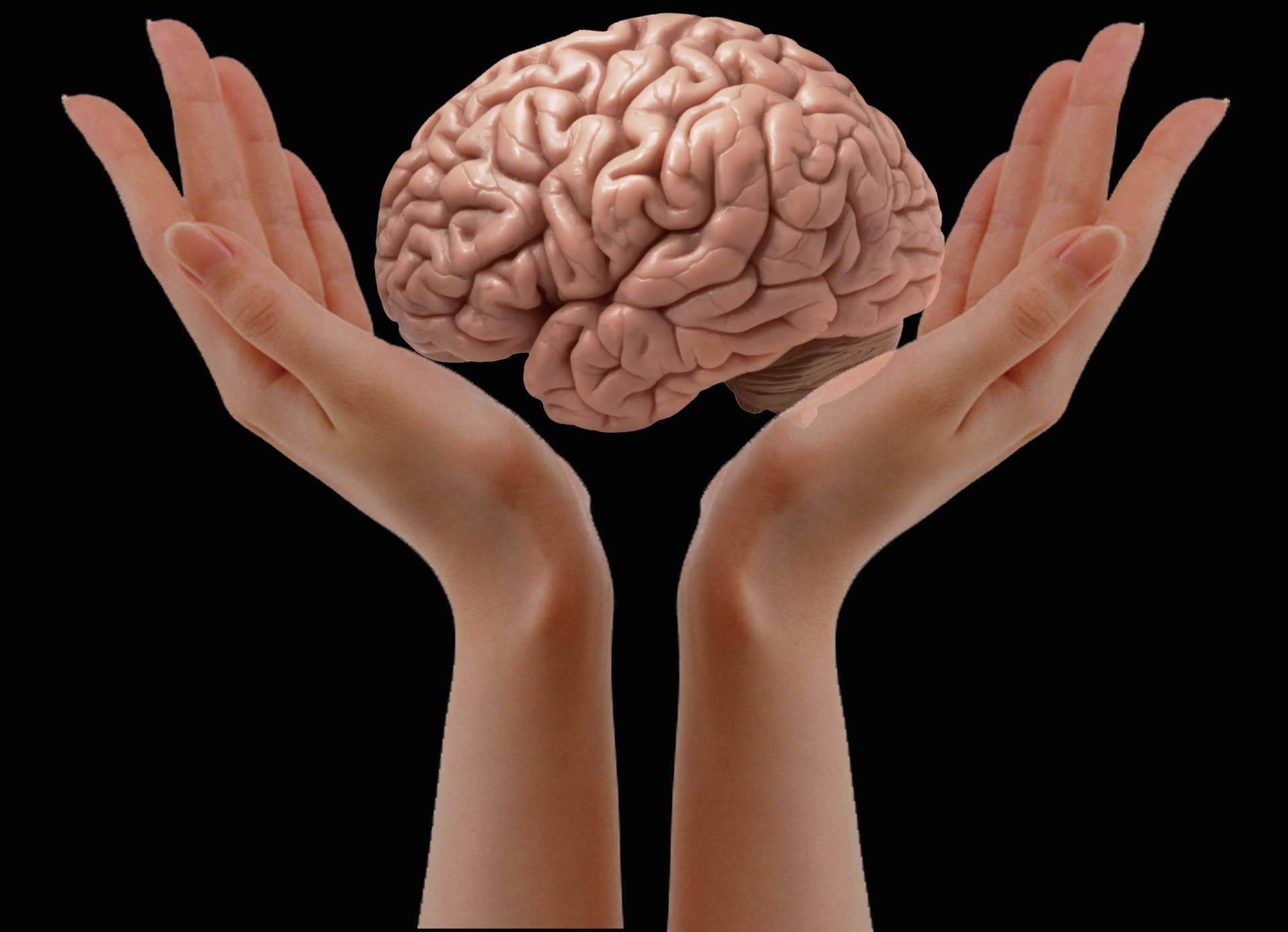 El valor de contar con un servicio de neurorrehabilitación a domicilio, por INIMA Rehabilitación