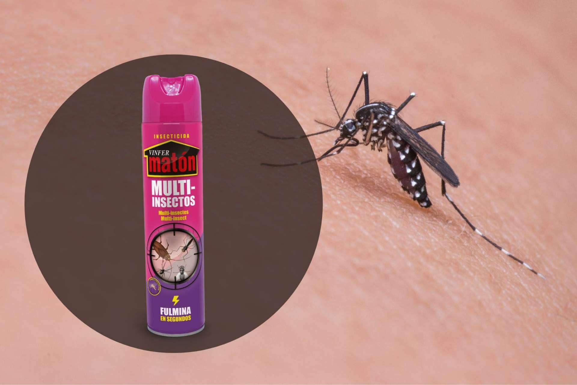 Eliminar el mosquito del Nilo con Vintermatón, un potente insecticida de Laboratorios Vinfer
