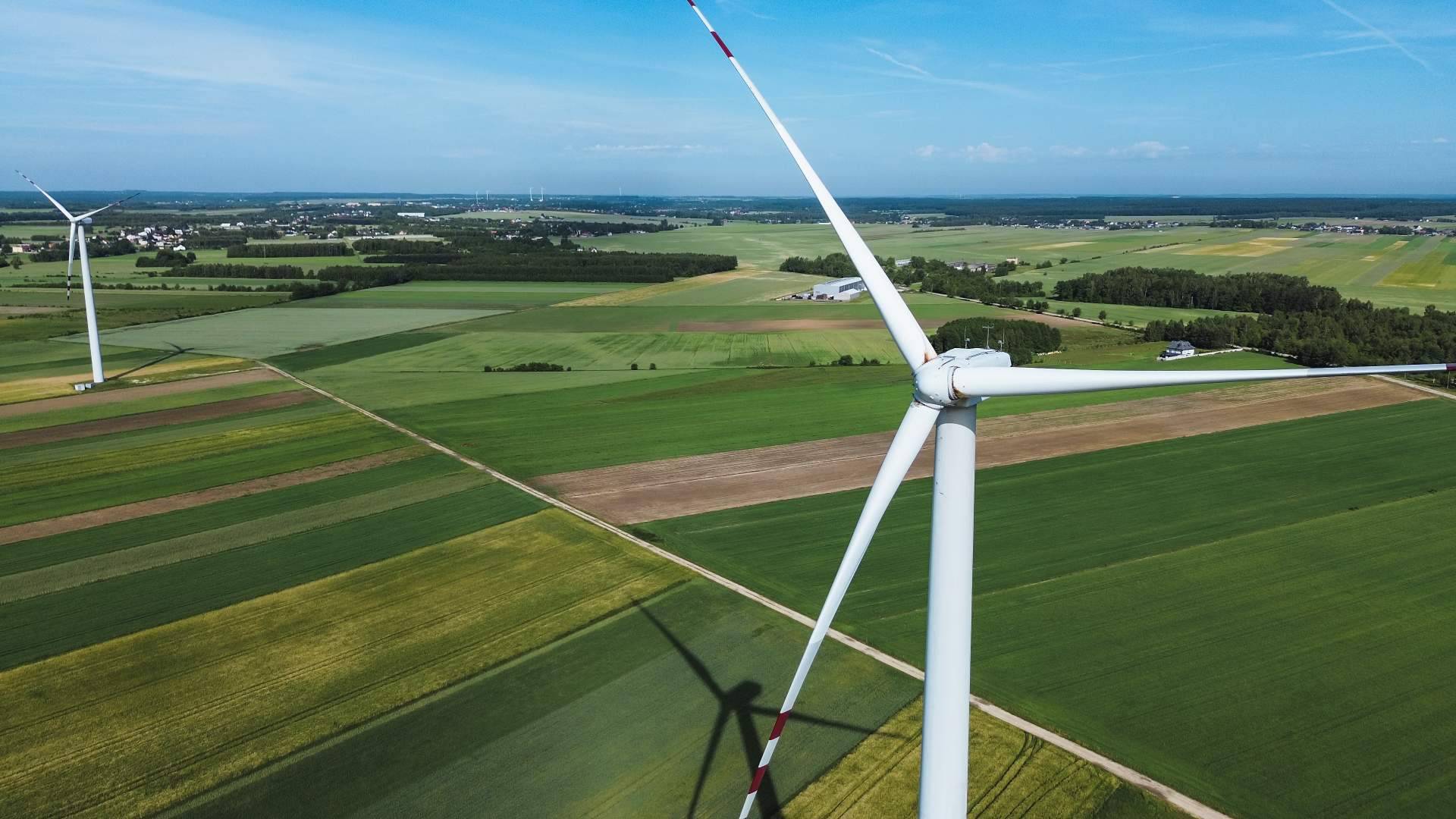 La juventud apuesta por una fiscalidad verde para impulsar la transición energética