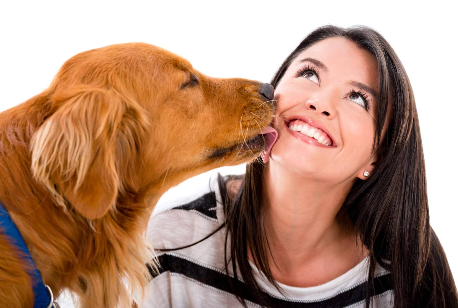Ka Salud Integral, nutrición natural para animales con necesidades especiales