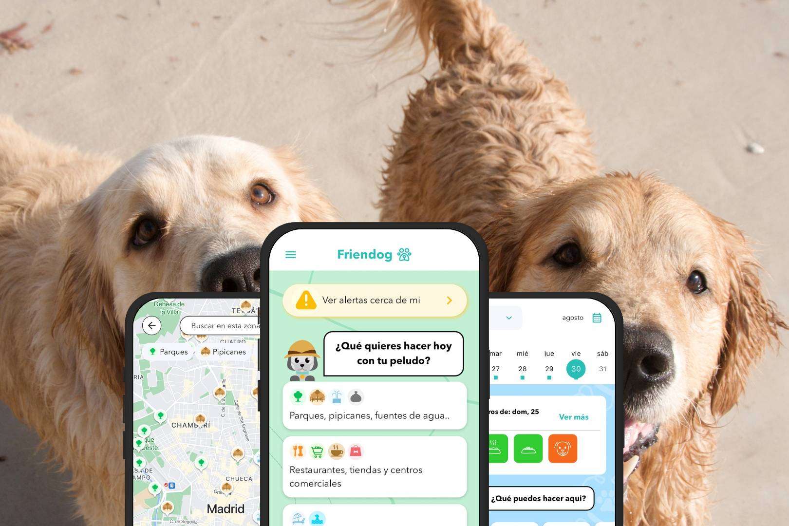 Friendog celebra su tercer aniversario con más de 70.000 usuarios en España