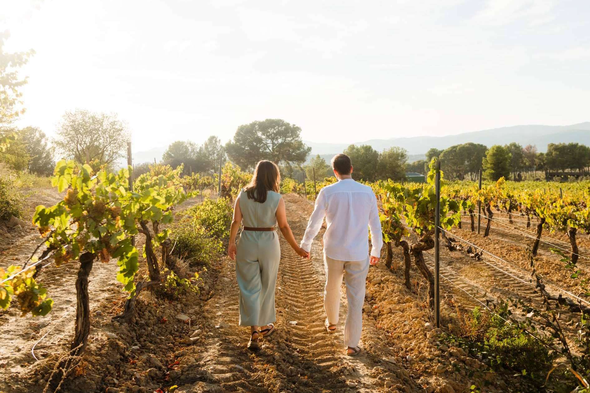 El auge del enoturismo en España, un sector en expansión que impulsa la economía rural