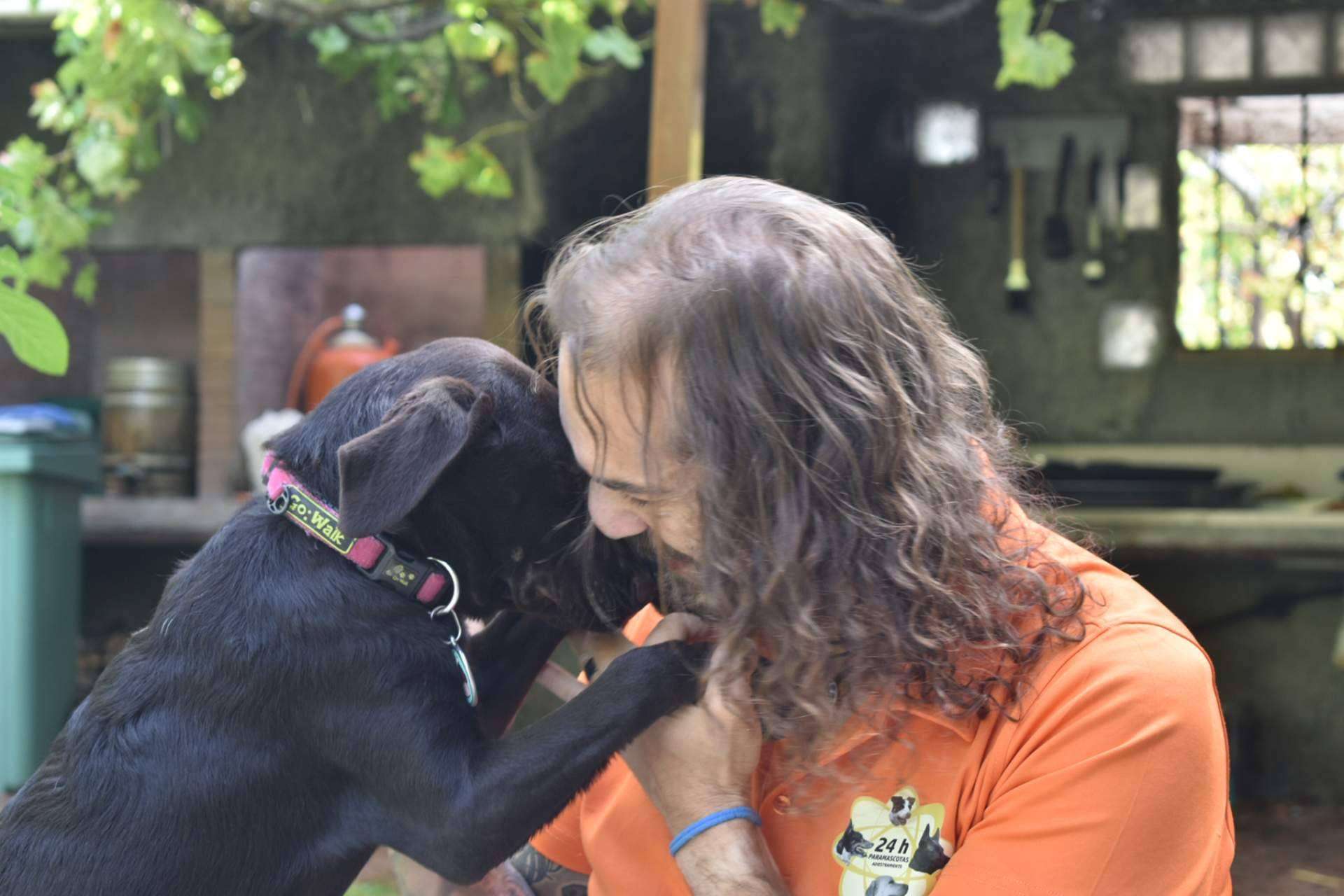 En 'ParaMascotas' creen que el peludo merece ser el más feliz del mundo