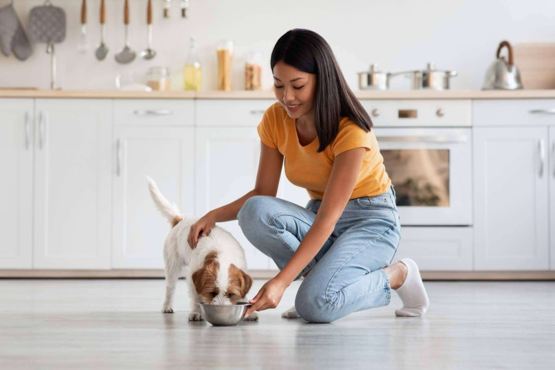 Alimentación natural y personalizada para cachorros, con Dogfy Diet