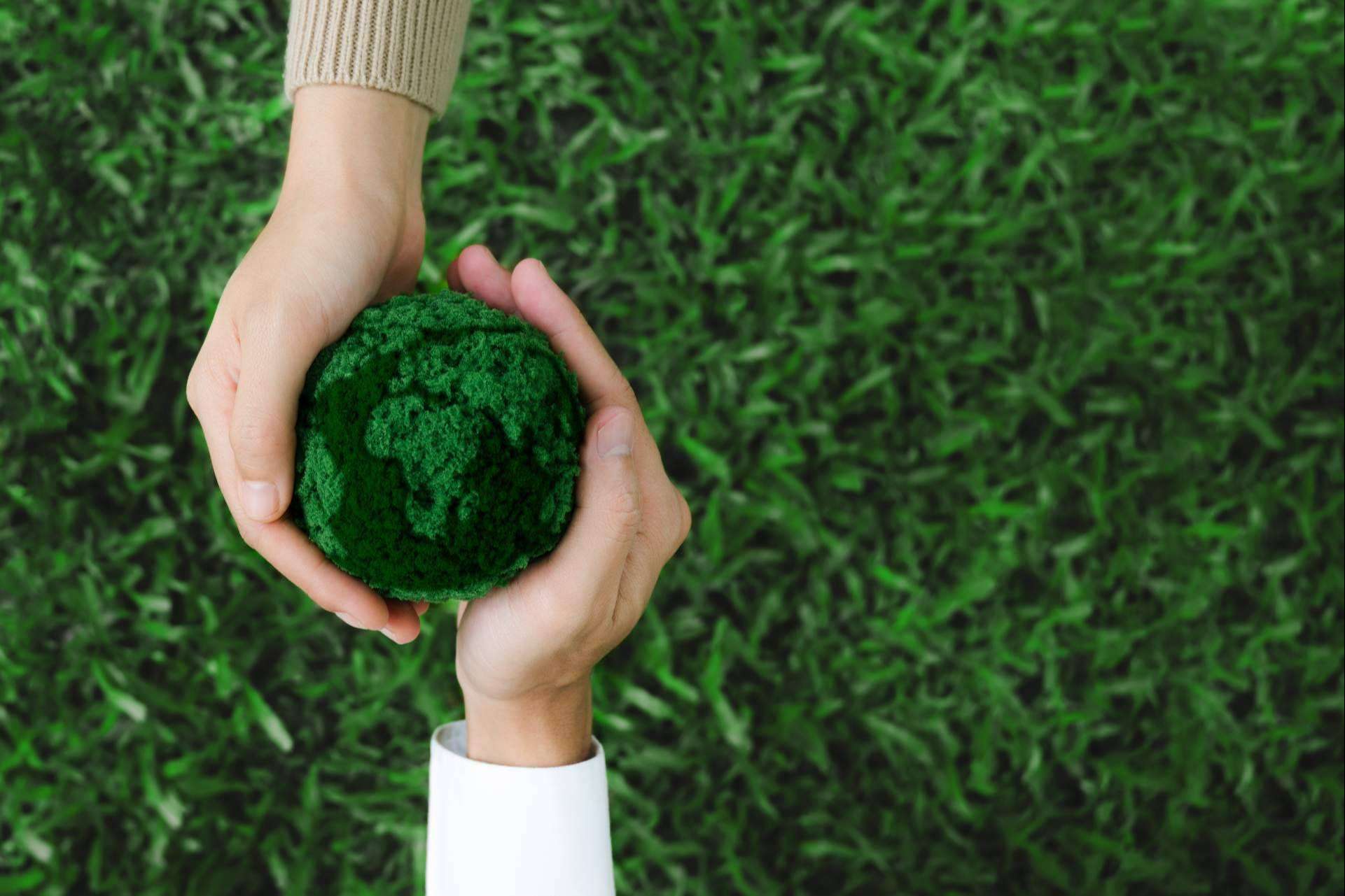 Compromiso con el entorno, Rioma y la Fundación Somos Naturaleza impulsan proyectos de sostenibilidad y desarrollo