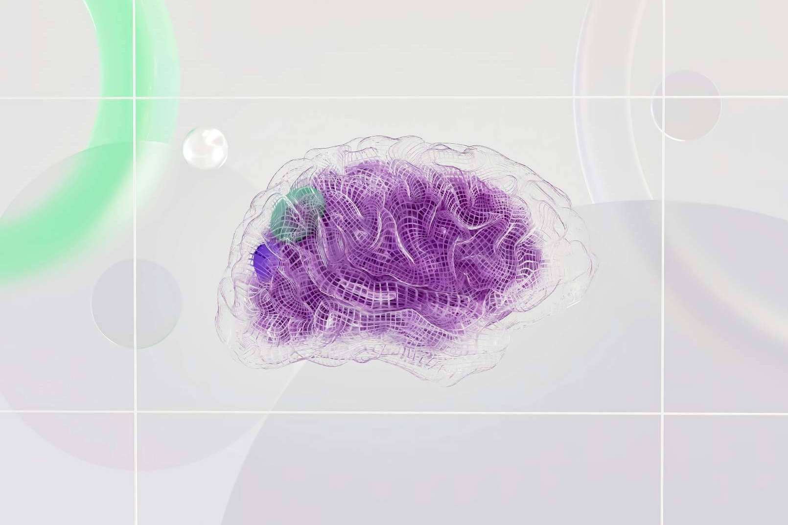 Formación en neurociencia y educación para docentes innovadores