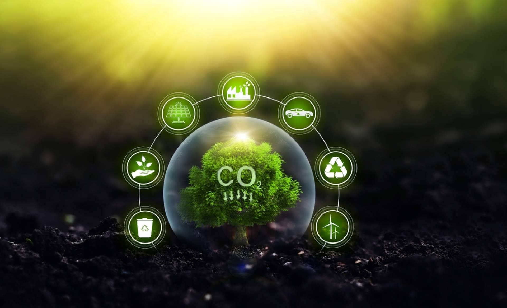 Huella de carbono y turismo, cómo viajar con responsabilidad ambiental