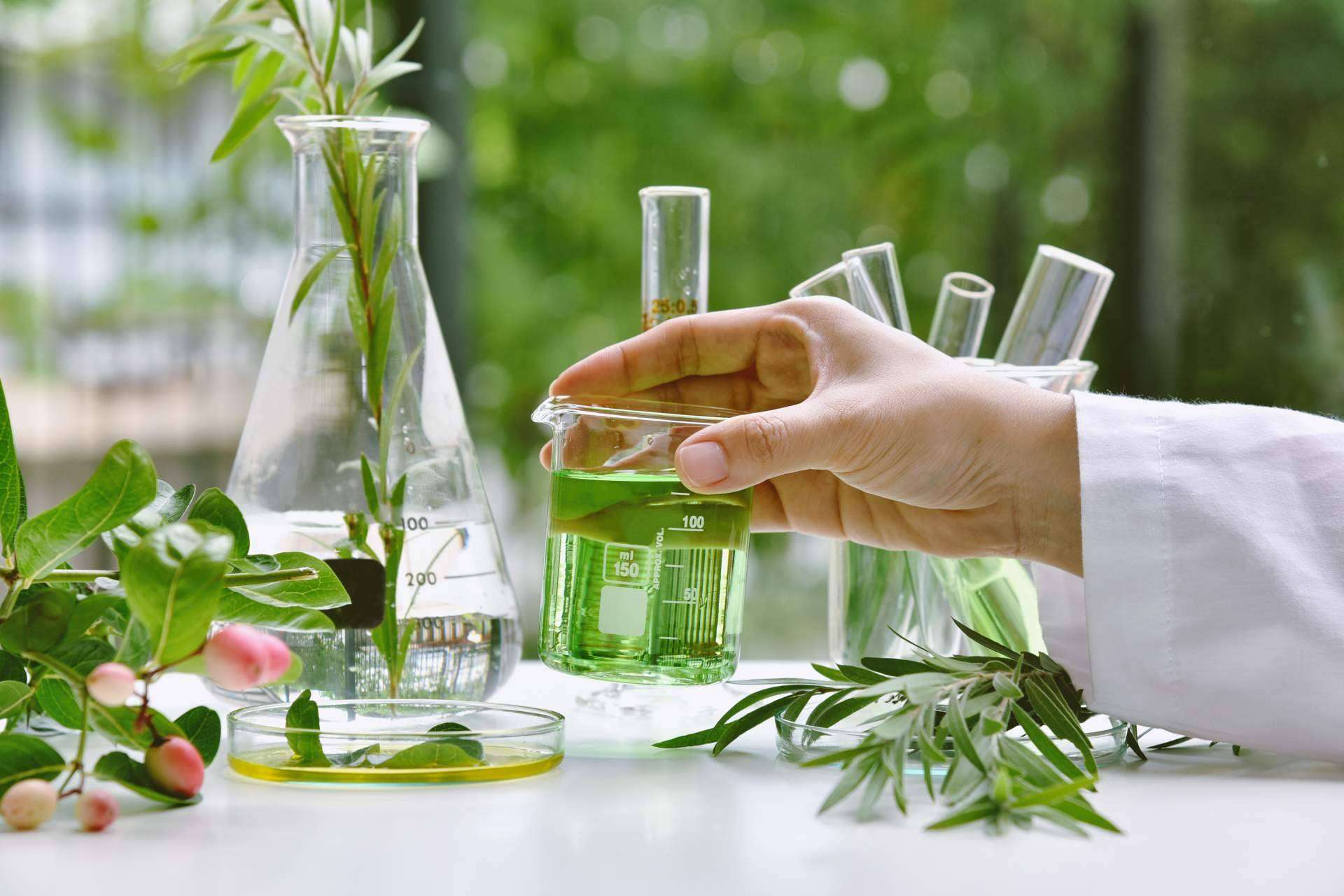 Estetic Mundo y las principales tendencias de cosmética profesional en 2025