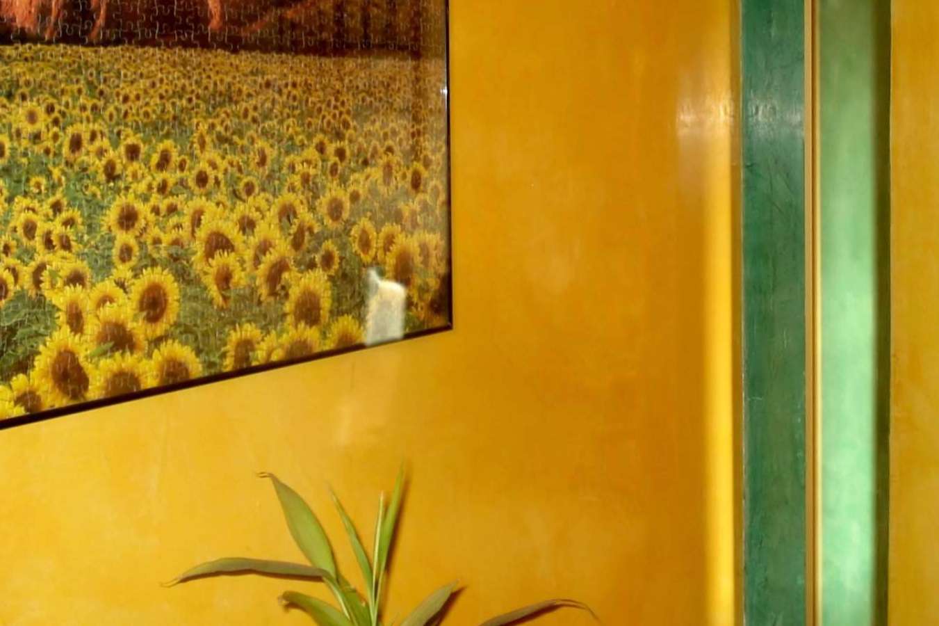 Pintores decorativos en Madrid, expertos en alta decoración y acabados personalizados