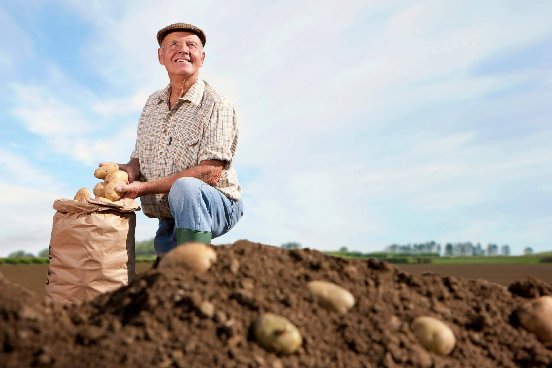 El Amazon de los Agricultores; JGCmarket Revoluciona el comercio justo y de proximidad