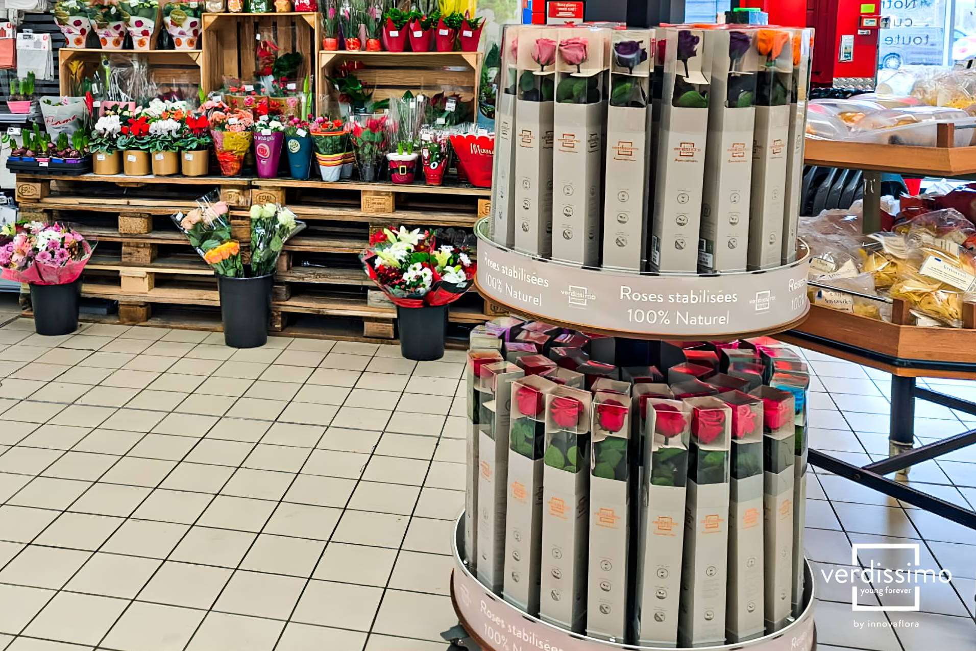 Verdissimo Lanza un Display Innovador para Transformar el Mercado de Rosas Preservadas