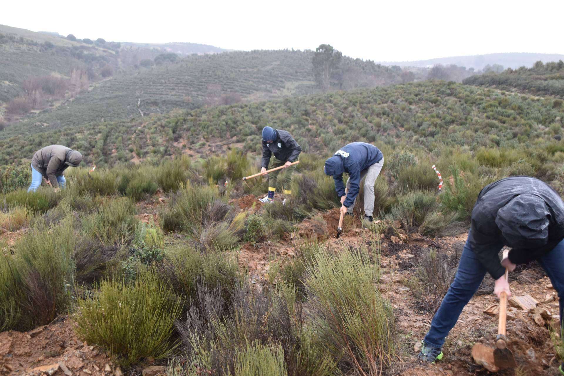 CO2 Gestión, FOXY y la Fundación Alcoraz inauguran en Salamanca la plantación de su 11º bosque